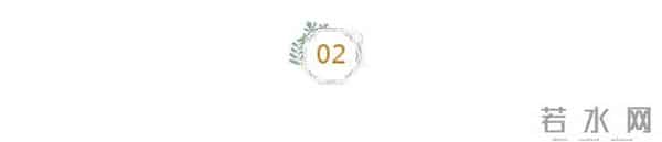 张惠妹不能控制的两件事:自己的体重与男人的感情