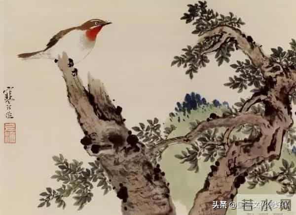 国画大家江寒汀的写意花鸟作品赏析！