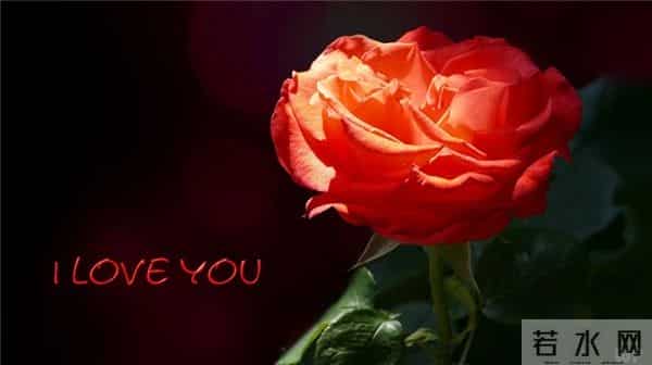 四十段浪漫情话:你呀,手给我牵,以后悲喜都在我身边