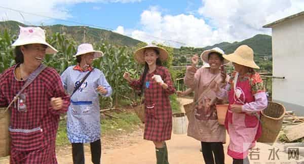 张柏芝才是最有手腕儿的人