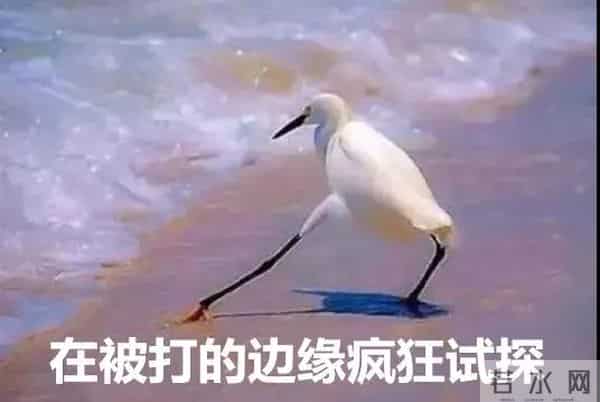 无语!4名中国粉丝为追星,导致300多名乘客重新安检……