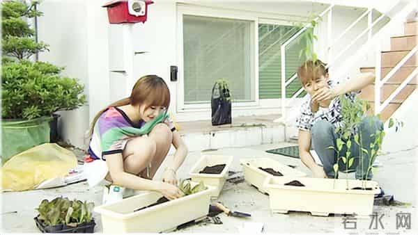 韩版我结:当年的热门甜蜜的明星夫妇 你们还记得几对?维尼红薯