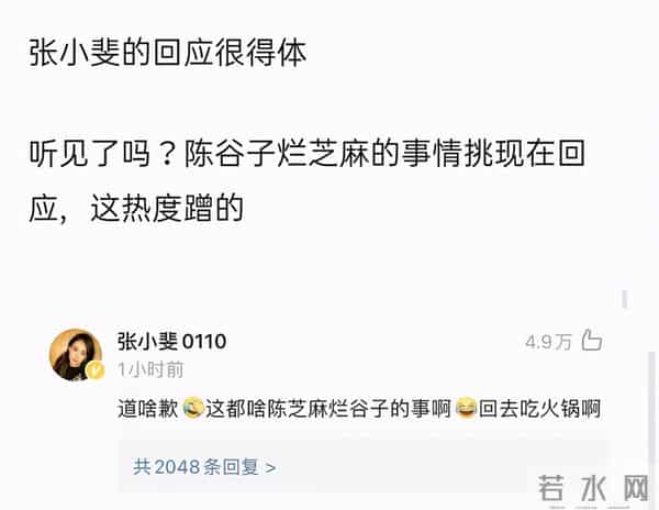 有一说一，袁姗姗不火，真的是有原因的