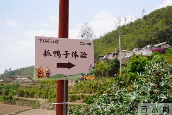 “芋”见甸尾 寻梦乡愁:建水民俗活动精彩纷呈