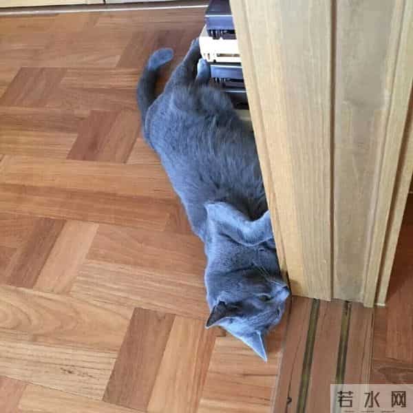 [2PM][分享]160610 灿盛上线安利歌曲 泽演盼望2PM回归