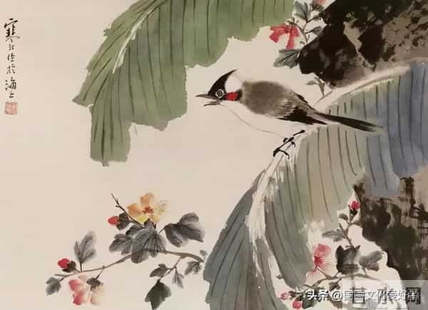 国画大家江寒汀的写意花鸟作品赏析！