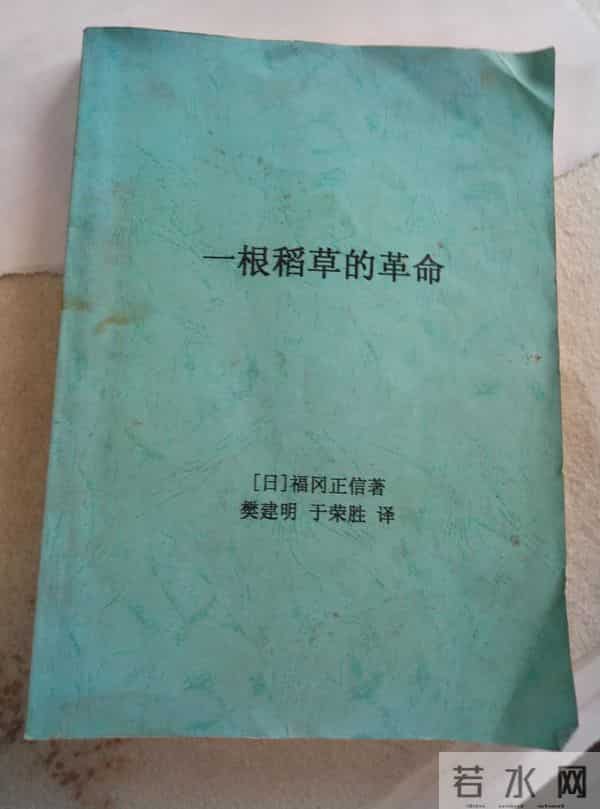 《田园日记》我与小草的距离