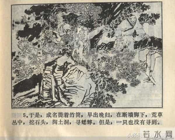 聊斋志异系列之《梅女》（陕美版）1982