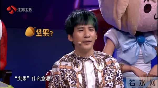 蒙面回顾｜歌手驯鹿被认王菲？周蕙坎坷歌唱路