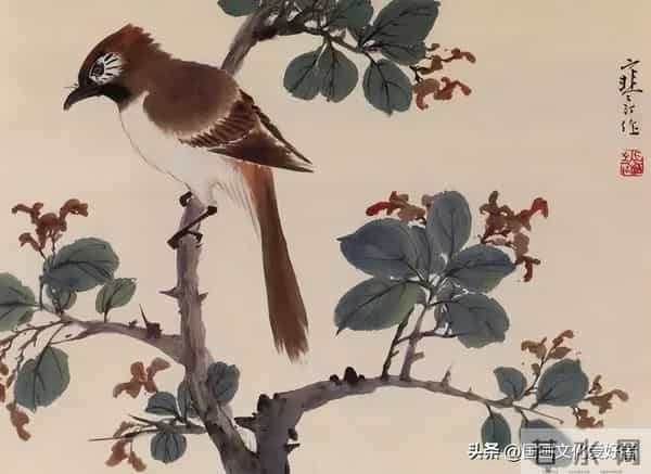 国画大家江寒汀的写意花鸟作品赏析！