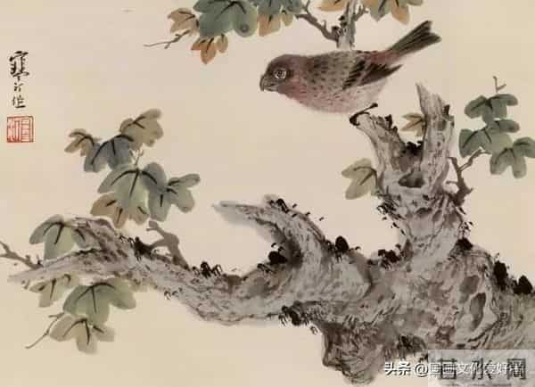 国画大家江寒汀的写意花鸟作品赏析！