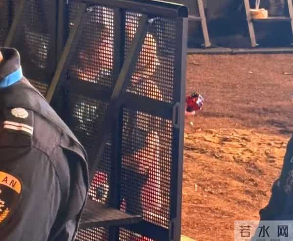 魏晨演唱会，一家三口合体，妻子抱儿子观看，小橙子个头高