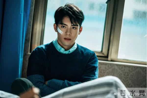 豆瓣8.3,无流量、无噱头,《终极笔记》凭什么口碑双收?