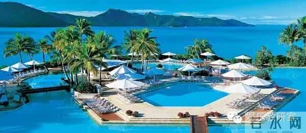 开八明星们的婚纱照,分明是花式虐狗啊!