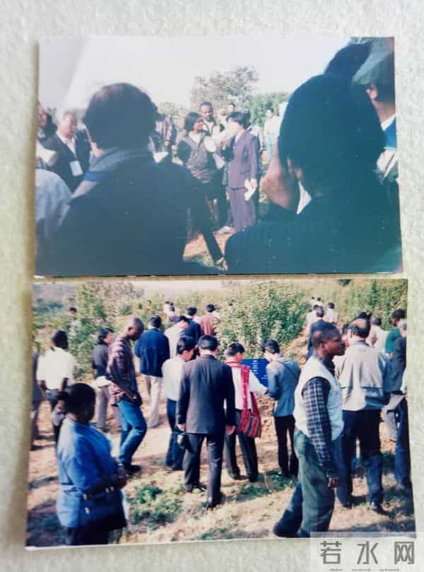 《田园日记》我与小草的距离