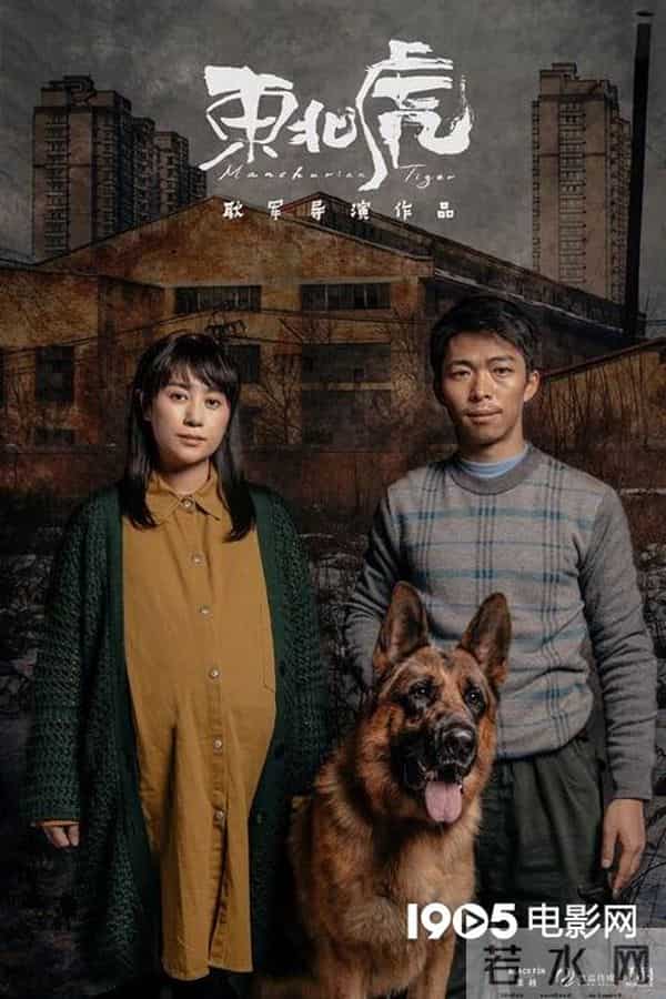 2020年，这150部华语电影要来榨干你的钱包了