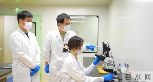 一把合成生物“分子手术刀”，再造千亿秸秆新产业