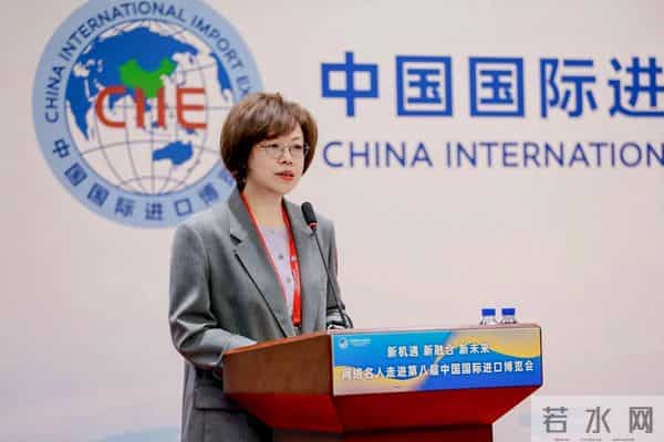 “新机遇新融合新未来——网络名人走进第八届进博会”网络大V沙龙活动举行