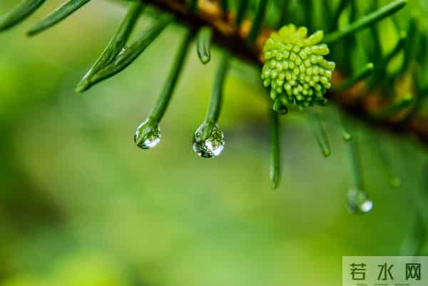 上联：三星白兰地；下联：五月黄梅天 100个无情对，超有趣对联