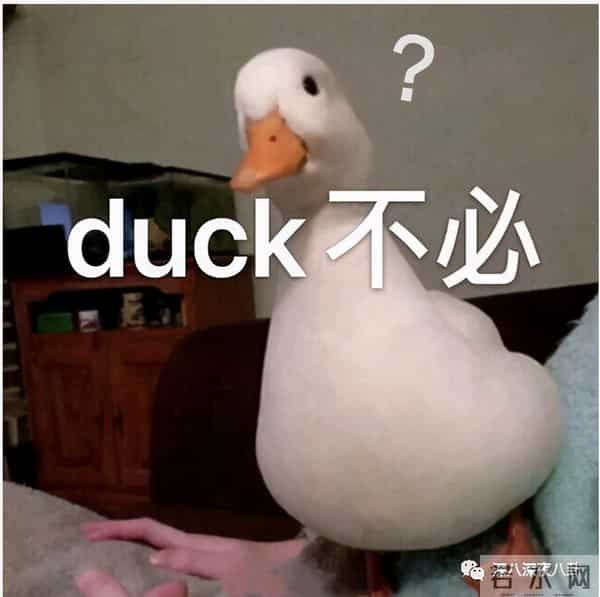 曾经人人喊打的“家暴男”，婚后竟然把女强人都宠成了小女孩？