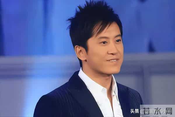 隐瞒了28年后,杨钰莹终于坦白:如果当年接受毛宁,现在早已当妈_0