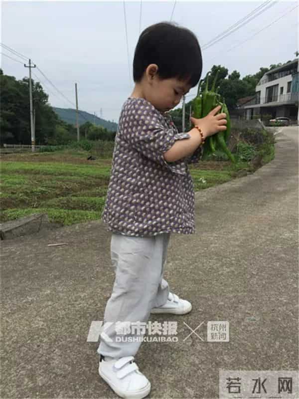 卖掉杭州两套房，她带着海归老公和孩子回农村！如今儿子一年级了，夫妻俩每天山里城里来回跑