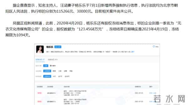 杨乐乐的老赖之路,和汪涵背后的商业帝国