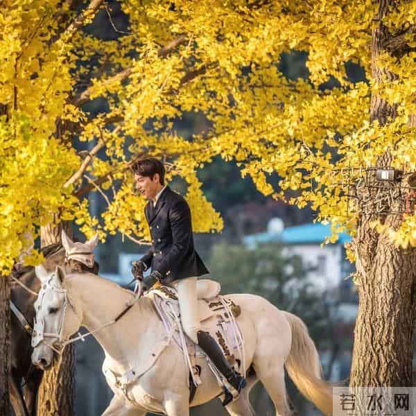 拯救剧荒!李敏镐金秀贤朴敏英即将神仙打架,金泰熙复出新剧接档《爱的迫降》