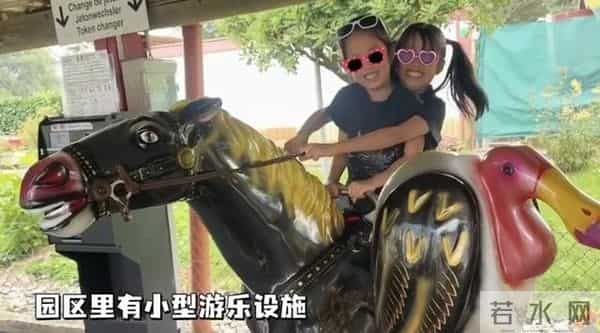 张子萱带娃国外旅游,陈赫开游船,两个女儿一模一样,都像爸爸