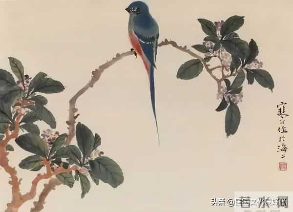 国画大家江寒汀的写意花鸟作品赏析！