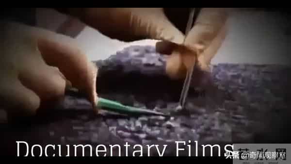 15岁女孩遭遇险境,最终实现完美自救,让潜藏多年的真凶原形毕露