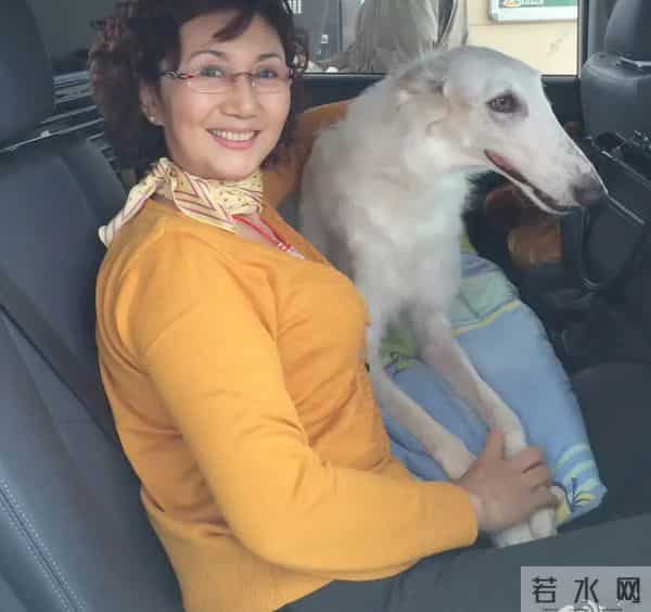 《画眉》霍政谚：情断张檬和六月，如今40岁从奶油小生变油腻大