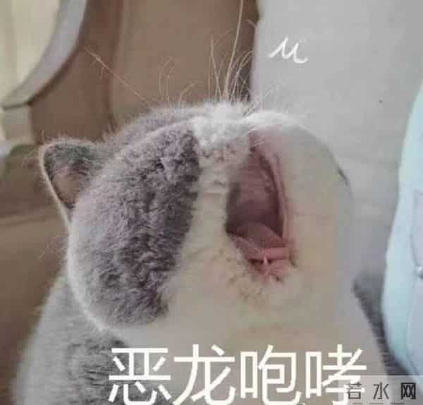 还记得《天外飞仙》里的上官浩琪吗？他现在长这样