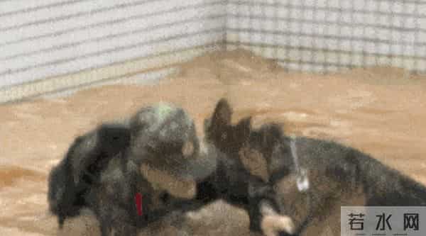 张馨予：我这辈子最正确的决定，就是嫁了个普通丈夫