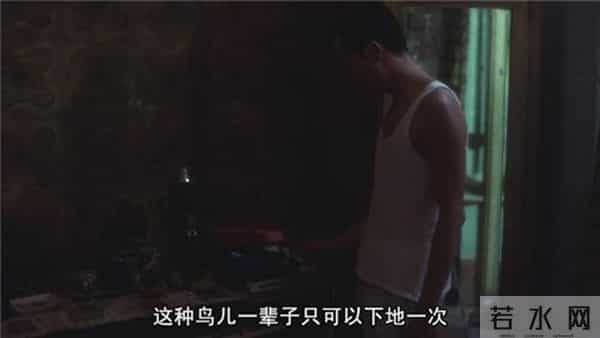 《国漫观察》天下基情终成伤,秦时明月之空山鸟语