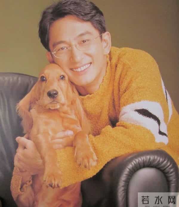 表面好男人、爱老婆,背地里嫖娼身败名裂,这8位男明星再难翻身