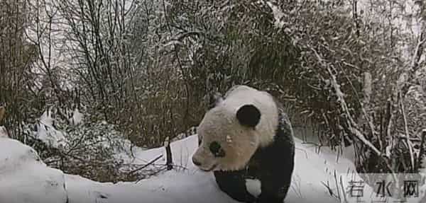 早安山东｜山东发布大雾橙色预警信号；全国现有高、中风险区6＋61个；春节假期延长至2月27号？假的