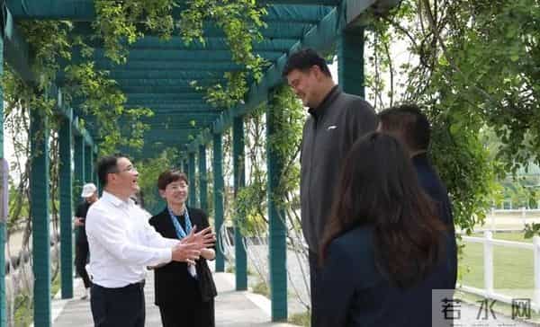 姚明一家游苏州太湖,15岁女儿打扮太老气,岳母出镜瘦又高超170
