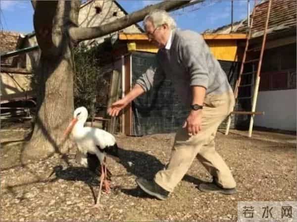 异地17年,每年飞13000公里相见,却在生子后离开!这个“负心汉”看哭了全世界……