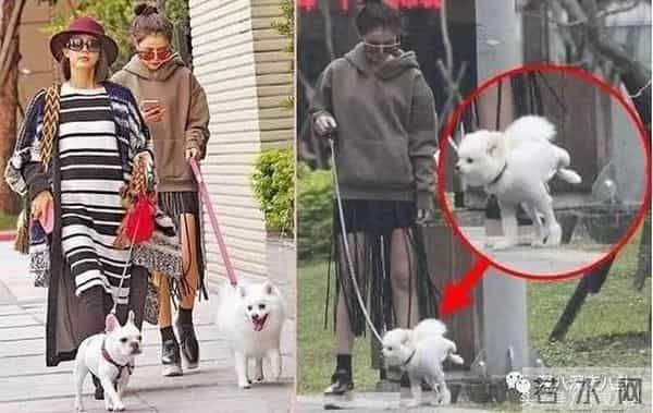 罗志祥、房祖名、柯震东一个都没逃整容脸李毓芬捆绑炒作