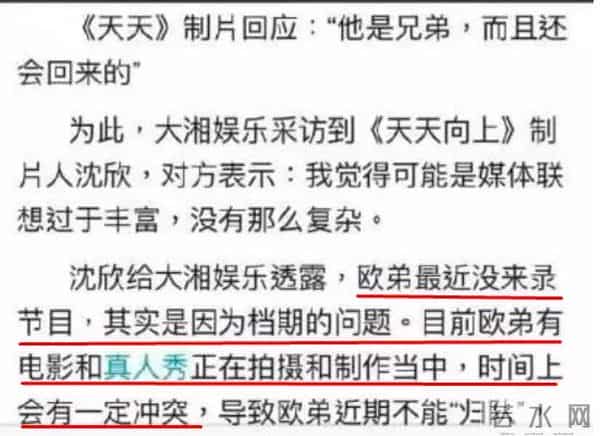 这是糊透了?欧弟宣布离婚却无人问津,也许不该离开《天天向上》