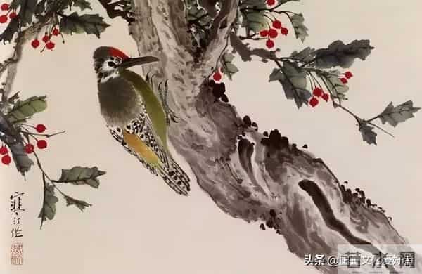 国画大家江寒汀的写意花鸟作品赏析！