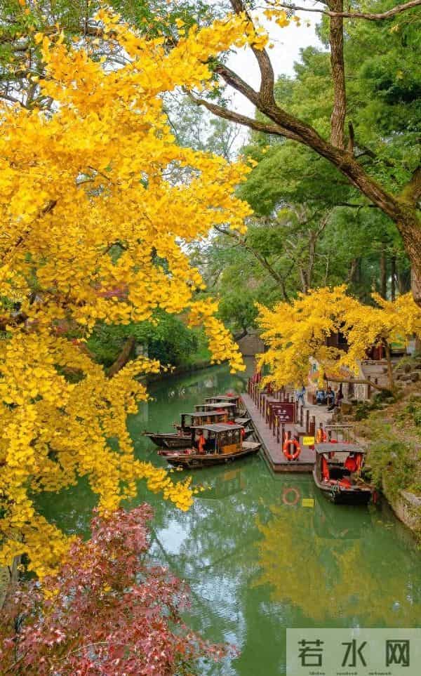 江苏11、12月最适合赏秋的6个好去处,带娃赏景两不误,选一个冲