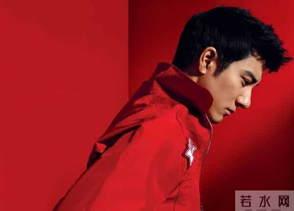 王力宏离婚，老婆李靓蕾大揭他老底？揭秘王力宏的“风流”半生…