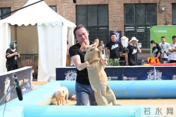 潘石屹儿子也下泥潭抓猪,画风和王思聪完全俩样