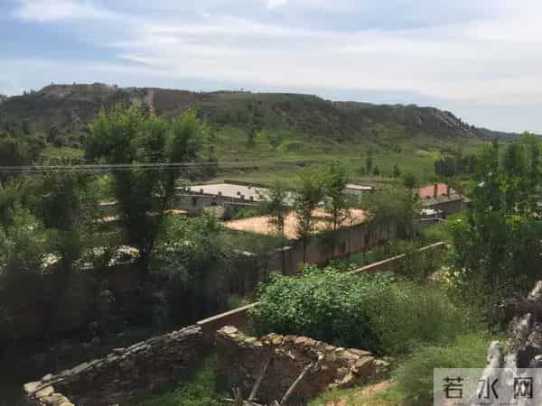 偷骨灰“配阴婚”，这不是阴间事，是人间世