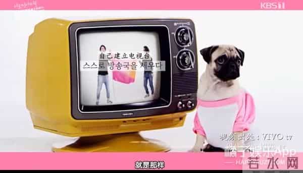 《1988》子贤因自卑整容,父母外貌遭嘲,女丑就食物链底层?