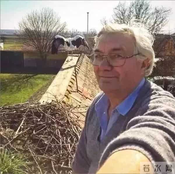 异地17年,每年飞13000公里相见,却在生子后离开!这个“负心汉”看哭了全世界……