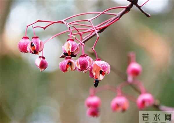 四十段浪漫情话:你呀,手给我牵,以后悲喜都在我身边