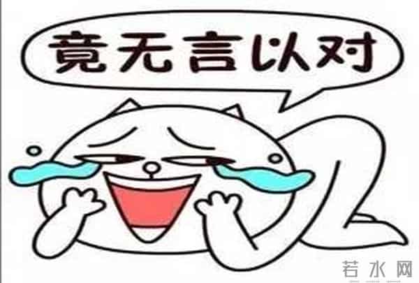 大写加粗的段子手,里约奥运,白岩松都说了些啥?